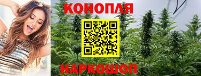 прущие грибы Татарск
